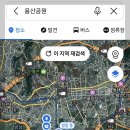 산과 바다의 산소 생산량 및 공기 정화, 인간의 삶에 기여 비교 및 뉴욕센터럴파크와 서울용산공원 이미지
