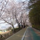 고산골 1 이미지