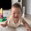 깨둥이네 | 이한이 성장 기록 ~340일