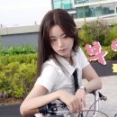쁘띠팔레트