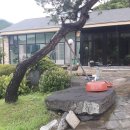 살미면사무소 이미지