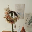 소이스튜디오(SOY STUDIO)