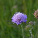 에버스타펜션 이미지