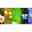 이대표공인중개사사무소 이미지