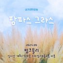 전천 둔치주차장(우안) | 부산 팜파스 그라스 명소 대저생태공원 2024년 9월 핑크뮬리 가까운 주차장 대중교통 뚜벅이 정보