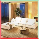 구스퍼니 이미지