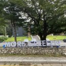 모어그린 이미지