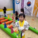 한림가락유치원 | 하단동 한겨레 유아태권도,유아체육
