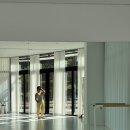 성인발레 입문,초급 이미지