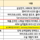 시현자화