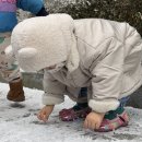 성산어린이집 이미지