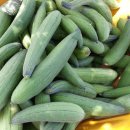 여주-0749 이미지