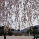 모량초등학교 이미지