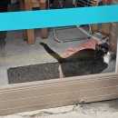 금북초등학교 | 금호동 - 금호16구역 외
