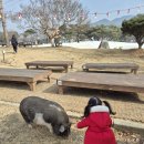 덕바위마을 | 논산 덕바위마을 아이랑 다녀온 후기 (빙어체험, 눈썰매, 깡통열차, 군밤체험)