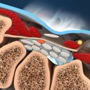 바디플로우짐 이미지