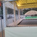 패밀리당구존 이미지