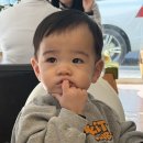 이나약국 | 자주 아픈 돌아기 영양제 내돈내산 약국 추천으로 사본 후기