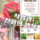 행복 | 식명관 천원의 행복 내돈내산 후기 배송기간 배송조회 꿀팁