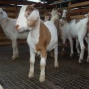 김태희농장 이미지