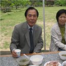 성주중앙초등학교 이미지