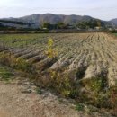 서면 신매1리 경로당 이미지