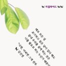 홍이삭 이미지