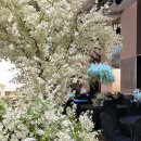 호텔 그랜드 스위트 이미지