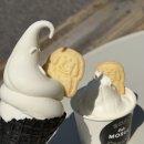 모루씨 - 광양시 중마중앙로 132-1 | 해리단길 카페 모루씨 파운디 소프트 아이스크림 해운대 디저트 맛집 후기 🍨