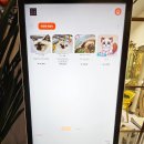 버만캣패밀리 이미지