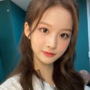 헬시큐어 | [내돈내산] 다이소 화장품 추천
