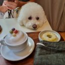 서초대로58길 36 이미지