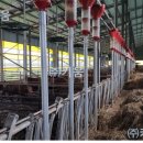 충남4호 태양광 발전소 이미지