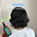 헤어수분에센스 추천 | 빈티지펌 웨트헤어 필수템, 블라세아 아르간오일 솔직 후기