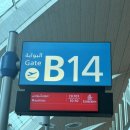 허니문파크 | [허니문] 모리셔스 신혼여행 1일차_르몽산뷰 세인트레지스 호텔_2일차 돌고래투어 &amp; 카젤라파크