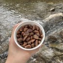 밤골 펜션 이미지