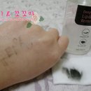 아리따움(아모레) 티스토리