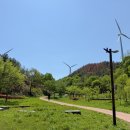 영덕종합약국 이미지