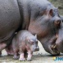 안하마을 이미지