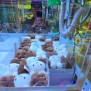 또왔다뽑기샵 이미지