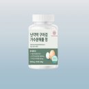 티피컴퍼니