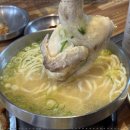 명동칼국수 - 67773 | 명동칼국수