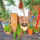 반반샵1호 | 군산 소품샵 1등 마이리틀홈 일본 식기와 소품이 한가득!