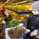 호천농장 이미지