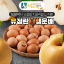 행운유정란 이미지