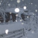 곰배령설피마을 이미지