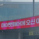 마이멍멍 | 마이펫페어 2026 일산 주차 꿀팁, 방문 후기와 구매 브랜드 총정리