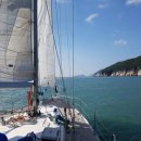 요트학교 이미지