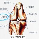 조규만외과동물병원 이미지