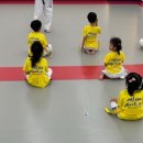 경희대 에이스 태권도 이미지